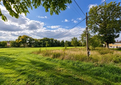 działka na sprzedaż - Cisek, Steblów, Boczna